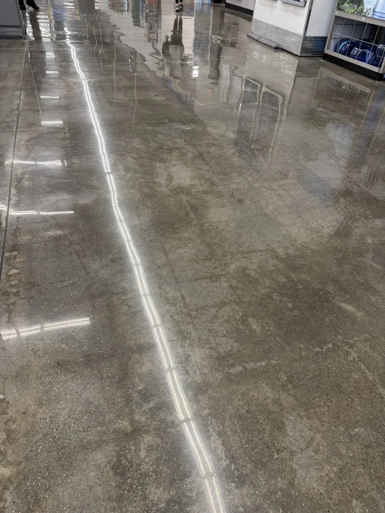 Natural color variation across the restored polished concrete in an open area of the store